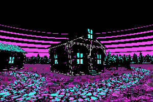 战火重燃！女足世界杯直播，谁是真正的球场女王